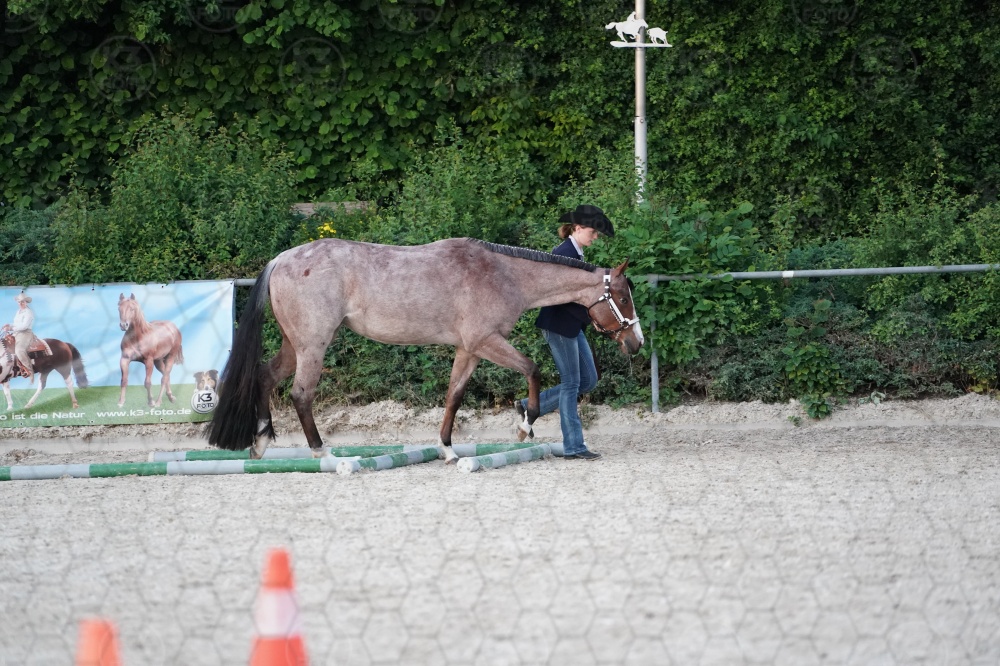 s_A9_05372.jpg